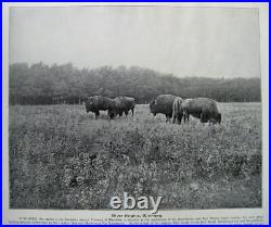 1894 Old America USA Rare Antique Photo Book Travel Old West Beautiful Leather