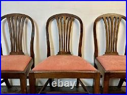 A Rare & Beautiful 110 Year Old Edwardian Antique Set Of 5 Dining Chairs. C1910