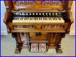 A Rare & Beautiful 140 Year Old Victorian Antique Mahogany The alpine Organ