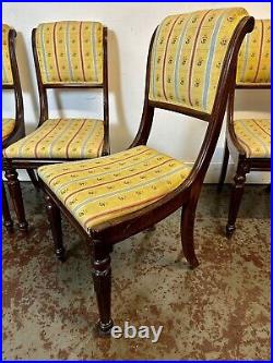 A Rare & Beautiful 200 Year Old Set Of 5 Antique Regency Dining Chairs. C1815