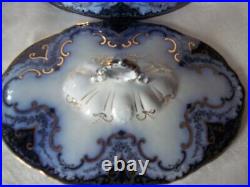 Beautiful Antique FLOW BLUE Serving Tureen With Lid Cambridge Alfred Meakin Rare