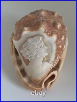 Beautiful Rare Antique Carved Cameo on a Conch Sea Shell