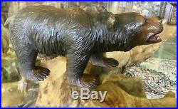 Beautiful Rare Antique Vintage Black Forest Bear with Protruding Glass Eyes