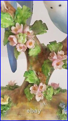 Beautiful, Rare Crown Staffordshire double Budgie Budgerigar By J T Jones. No1