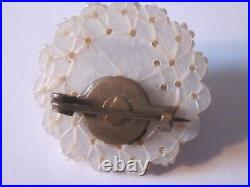 Beautiful Rare Handcrafted Antique Victorian Seed Pearl Pin