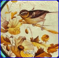 Beautiful Rare Painted Bird In Blossom Antique English Stained Glass Window