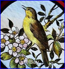 Beautiful Rare Painted Bird In Blossom English Antique Stained Glass Window