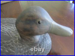Beautiful rare antique glass eyed hand carved D. J. A. Raised head black duck decoy