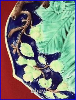 Rare Antique Majolica Cobalt Server with Chestnut Leaf & Bird Handle Beautiful