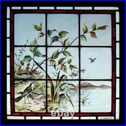 Rare Beautiful Victorian Painted Lakeland Birds English Stained Glass Window
