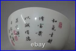 Rare Chinese Antique Beautiful Hand Painting Porcelain Bowl YongZheng Marks
