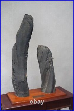 Superb Rare Antique Shipwreck Sculptural Wood From Lowestoft Beautiful Mounting