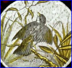 The Most Beautiful Rare Painted Bird Antique English Stained Glass Window