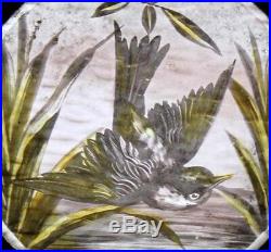The Most Beautiful Rare Painted Bird Antique English Stained Glass Window