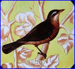 The Most Beautiful Rare Painted Bird Victorian English Stained Glass Window