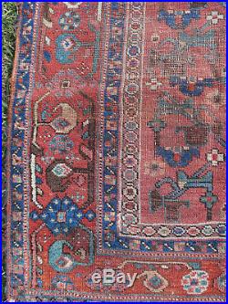 Very Rare Antique Afshar, Afshari Tribal Pile Rug 1900 Beautiful Vegetable Dyes