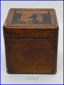 Victorian Antique Wooden Tea Caddy Box Beautiful Picture On Top NO KEY Rare UK